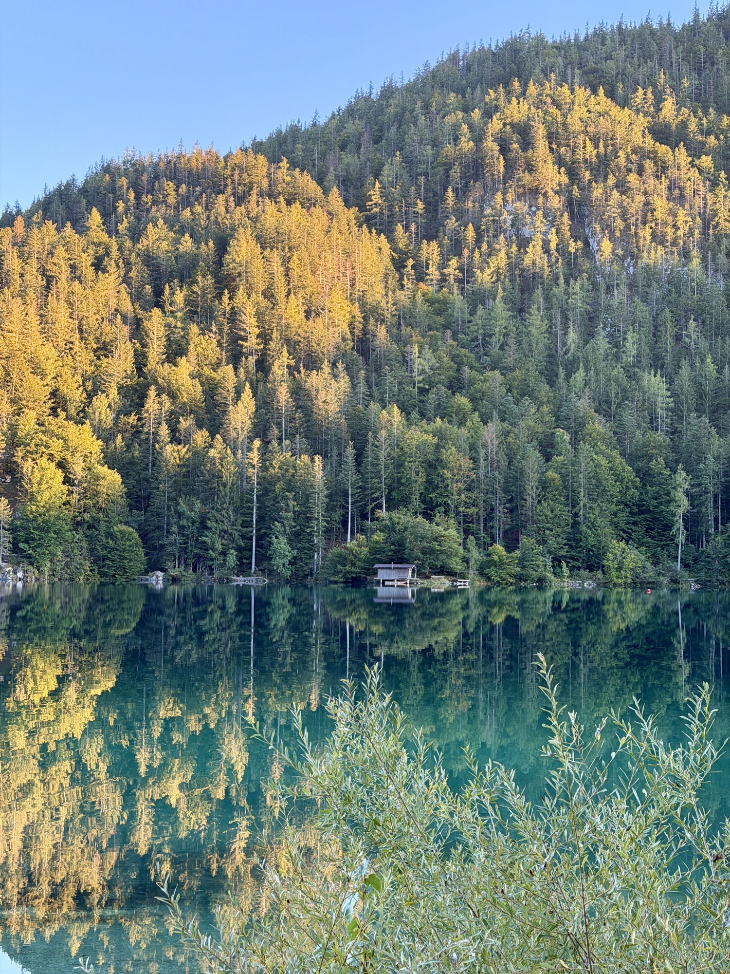 Bildbeschreibung