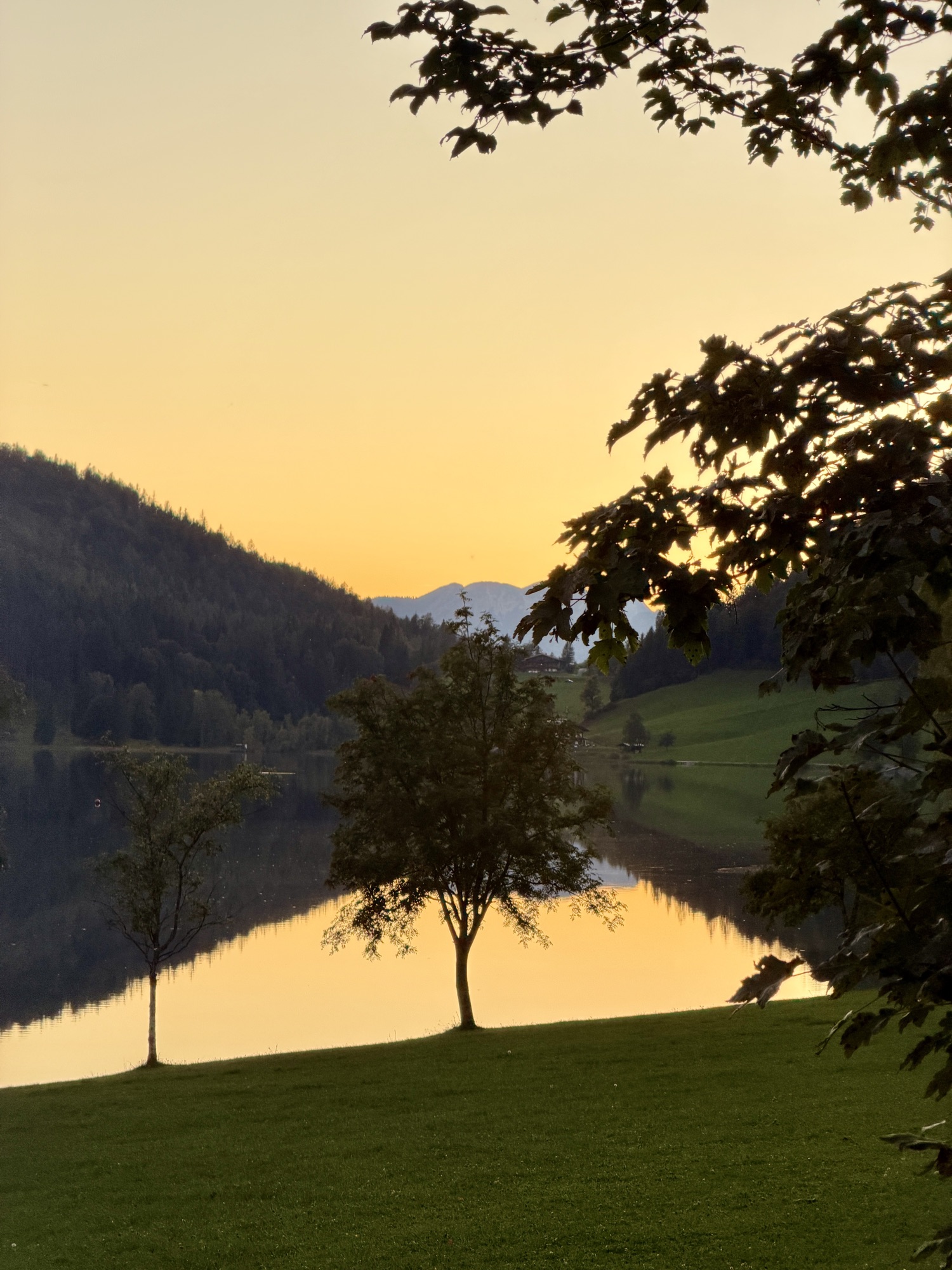 Bildbeschreibung