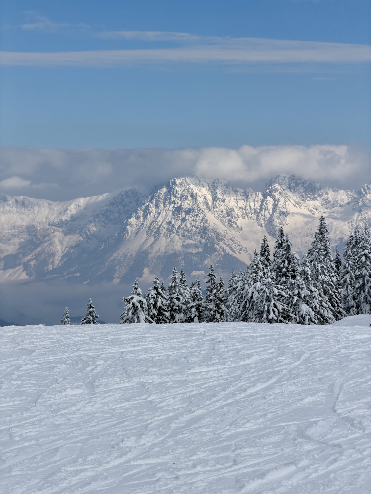 Beschreibung des Winterbilds